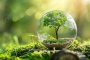Green Living: Small Choices, Big Impact for a Sustainable Future