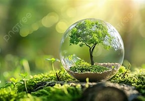 Green Living: Small Choices, Big Impact for a Sustainable Future