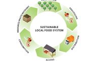 Sustainable Food System: From Farm to Kitchen