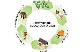 Sustainable Food System: From Farm to Kitchen