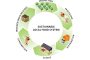 Sustainable Food System: From Farm to Kitchen