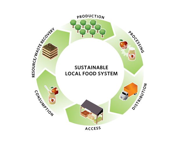 Sustainable Food System: From Farm to Kitchen