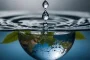 Water Sustainability: Every Drop Counts